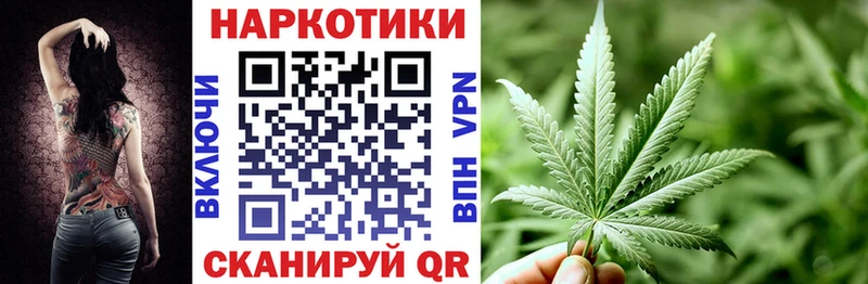 Конопля Белокуриха