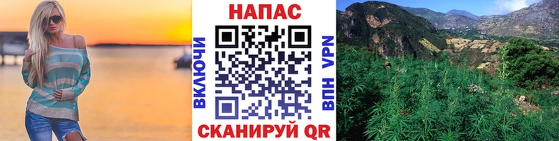 Каннабис MAZAR Белокуриха